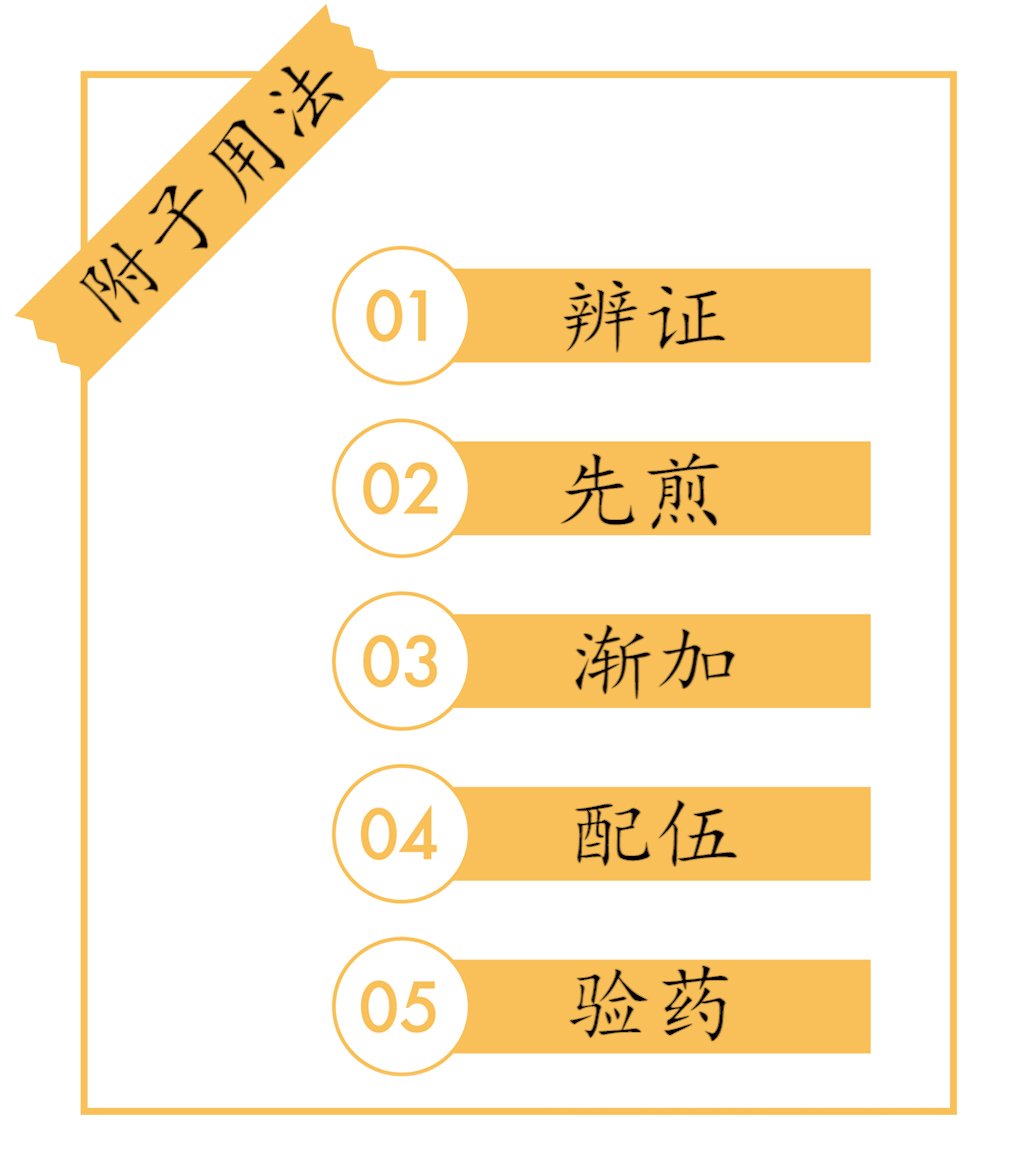 中药附子的用法有：辨证、先煎、渐加、配伍、验药