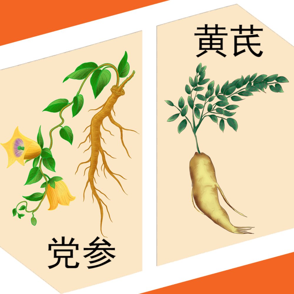 党参和黄芪