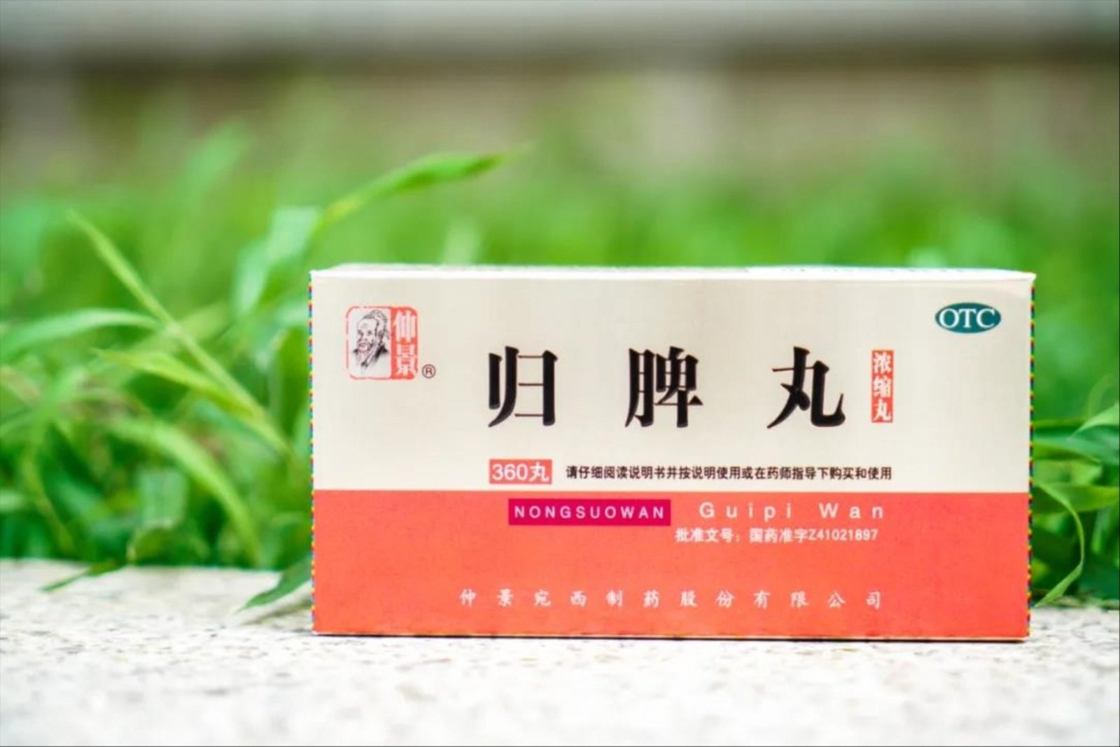 北京同仁堂人参健脾丸 6g*10丸/盒（大蜜丸）脾胃虚弱 腹痛便溏 恶心呕吐 脘闷嘈杂 | Shopee Malaysia